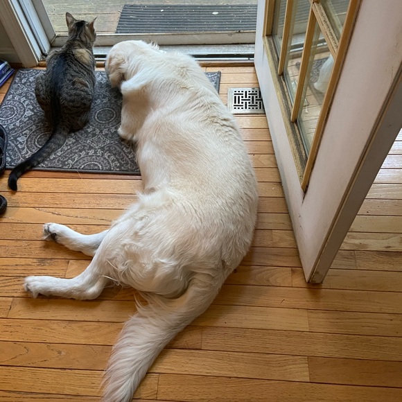 Meet your Posher, Heather - Picture 5 of 5